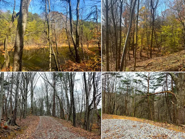 $99,900 | 830 Nibert Road, Unit PONDS POPLAR RIDGE TRACT 3), Gallipolis, OH 45631