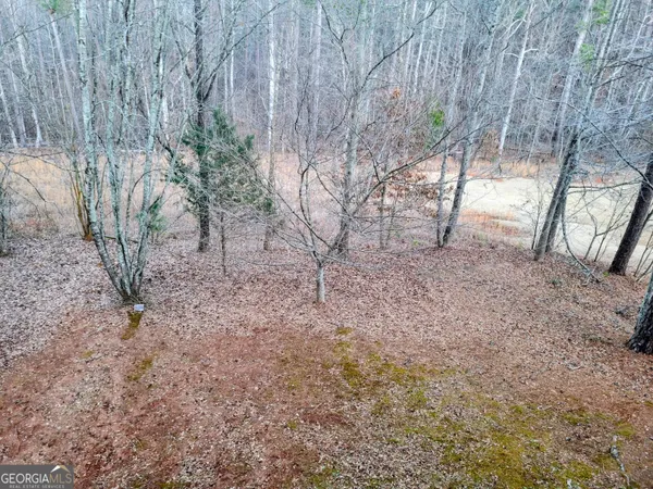 a view of a yard with trees