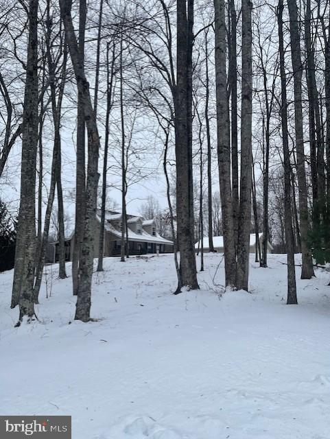 4010 Cabin Road Reva, VA 22735 - Photo 43 of 72 Gallery Image 43