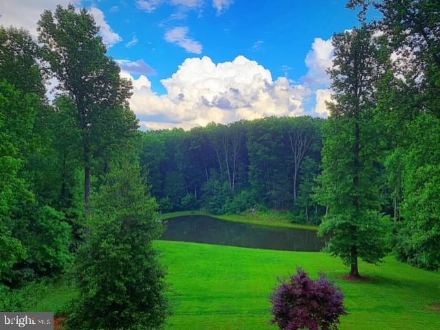 4010 Cabin Road Reva, VA 22735 - Photo 52 of 72 Gallery Image 52