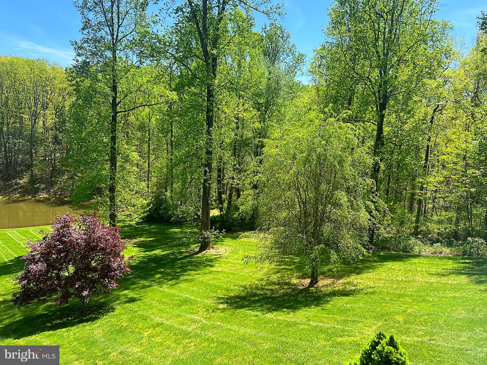 4010 Cabin Road Reva, VA 22735 - Photo 65 of 72 Gallery Image 65