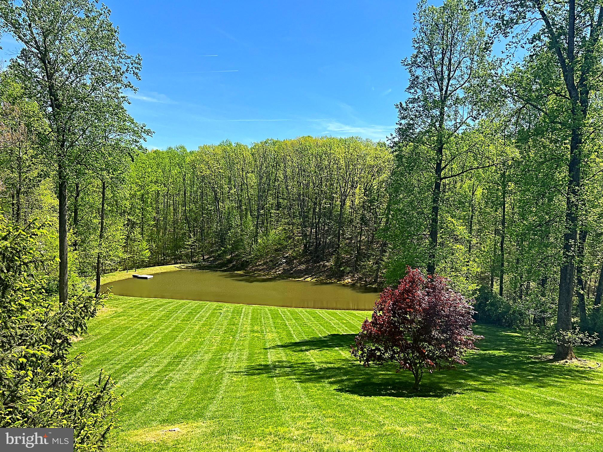 4010 Cabin Road Reva, VA 22735 - Photo 66 of 72 Gallery Image 66