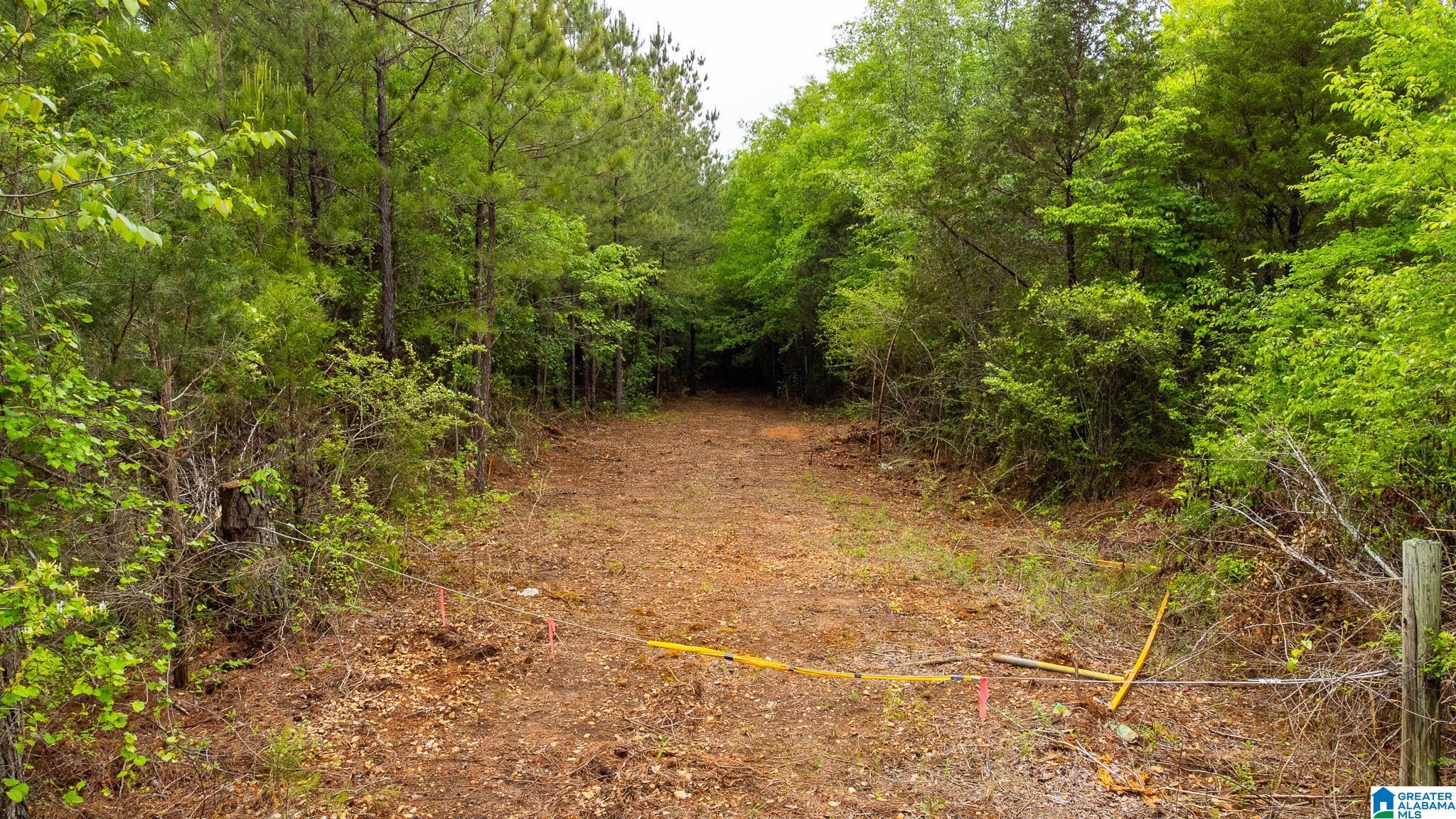 0 Cove Access Road, Unit 28 Talladega, AL 35160 - Photo 6 of 12