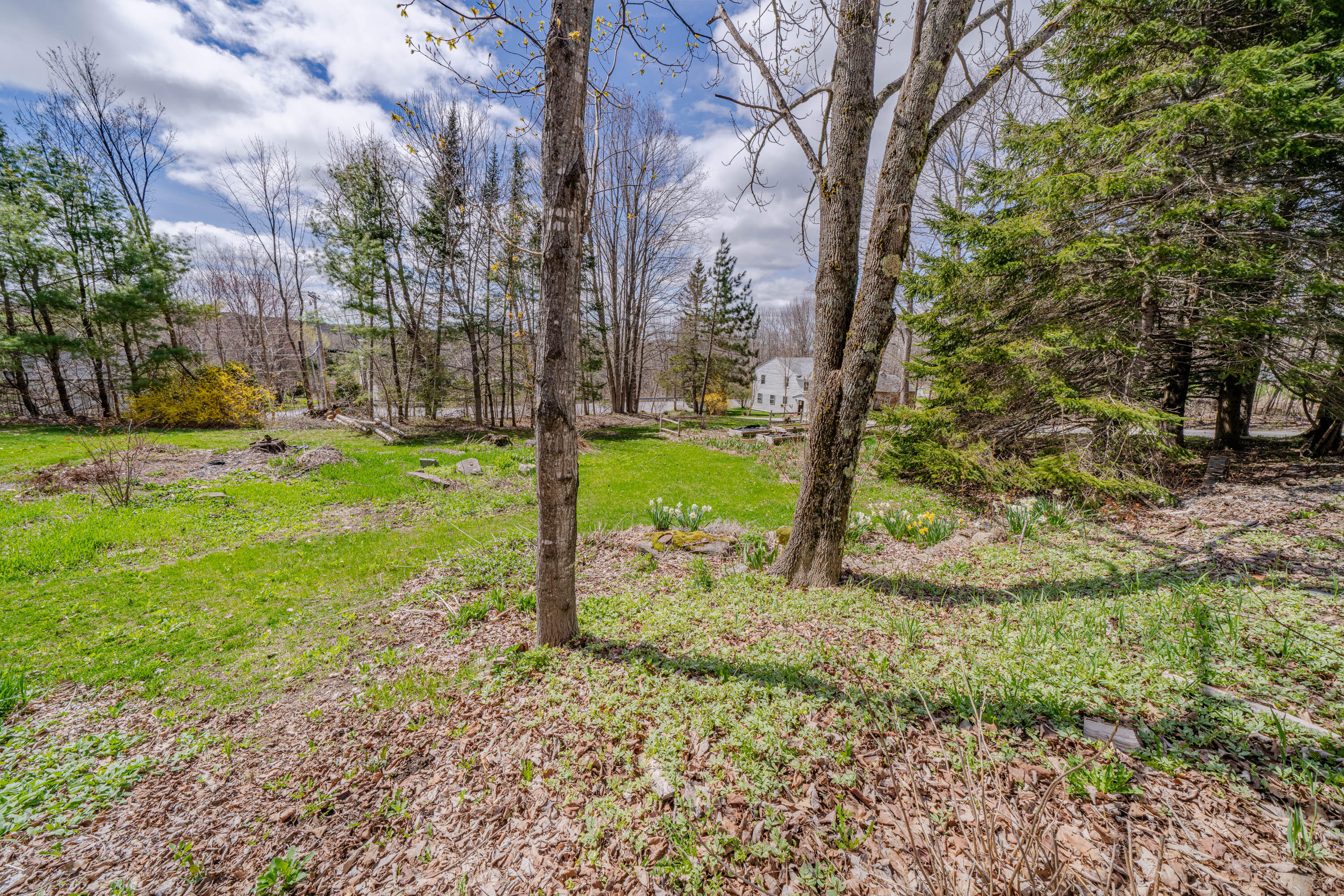 11 Ward Hill Road Troy, ME 04987 - Photo 62 of 63 Backyard
