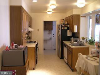 1 Beryl Road Cheltenham, PA 19012 - Photo 4 of 6
