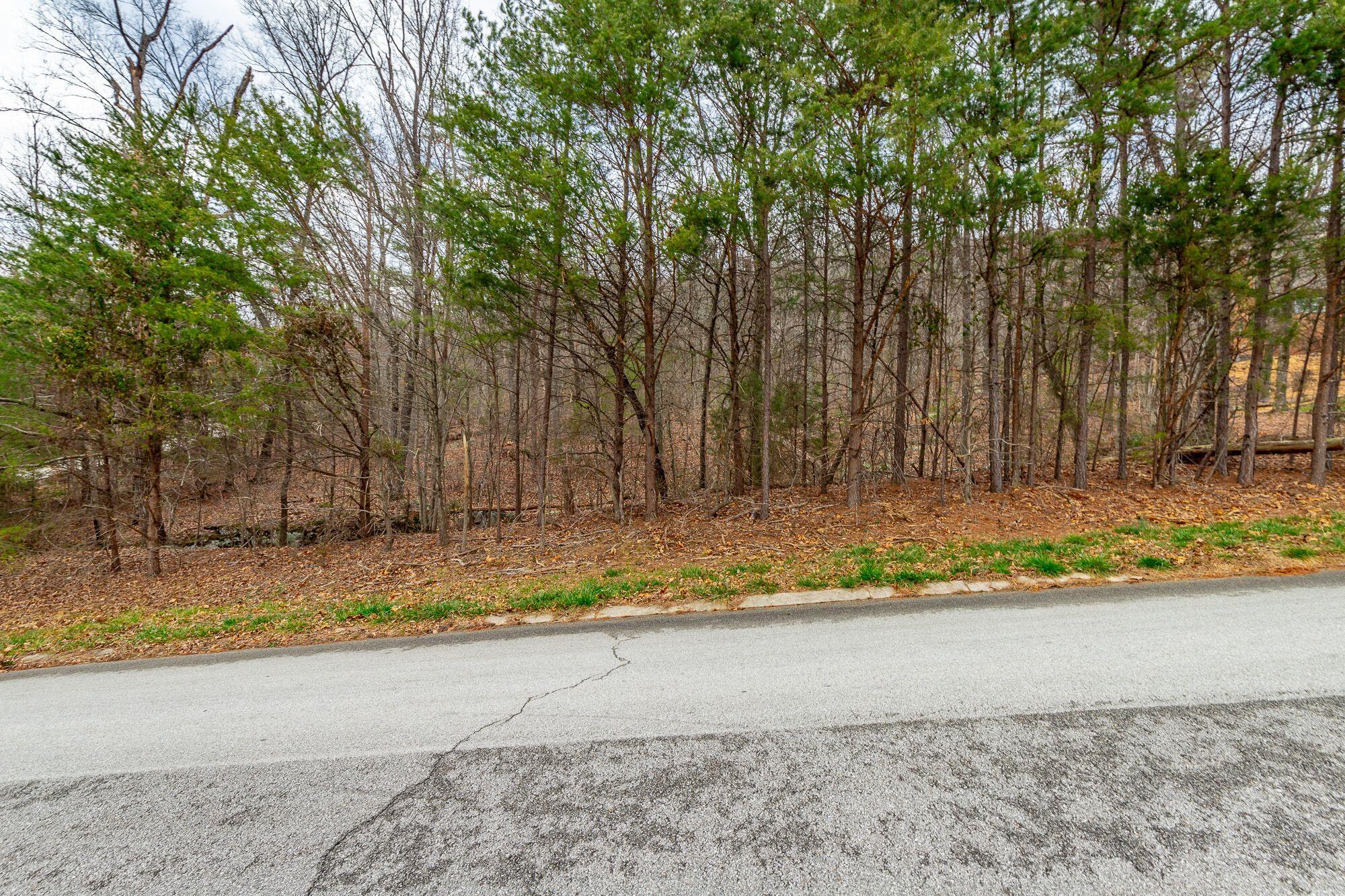 7783 Rocky Ledge Road Hixson, TN 37343 - Photo 13 of 20 7783 Rocky Ledge