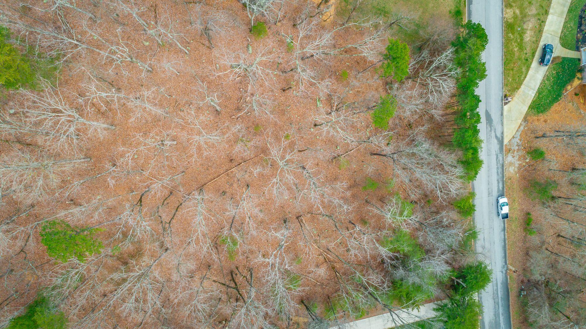 7783 Rocky Ledge Road Hixson, TN 37343 - Photo 6 of 20 7783 Rocky Ledge