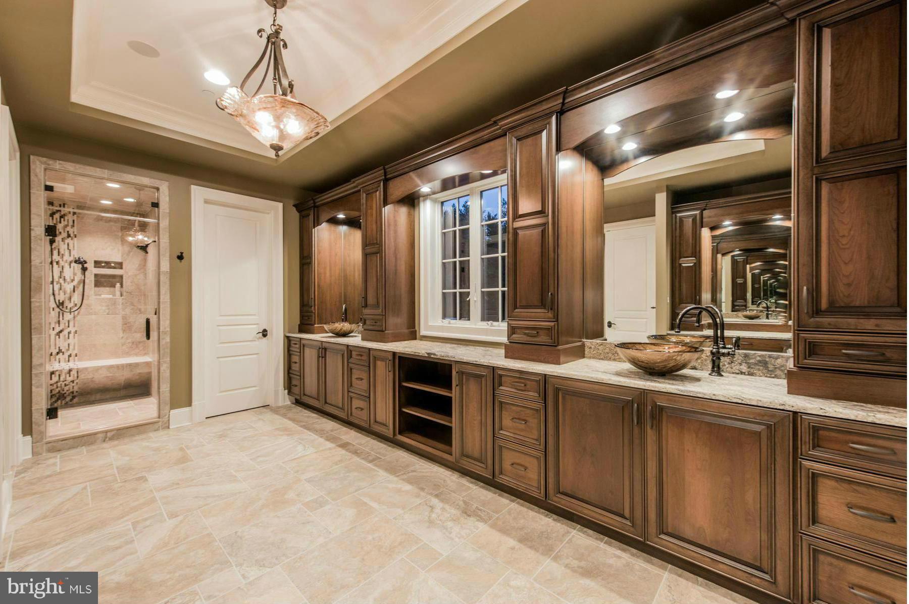2684 Daisy Road Woodbine, MD 21797 - Photo 19 of 30 Main Level Owner's Bath