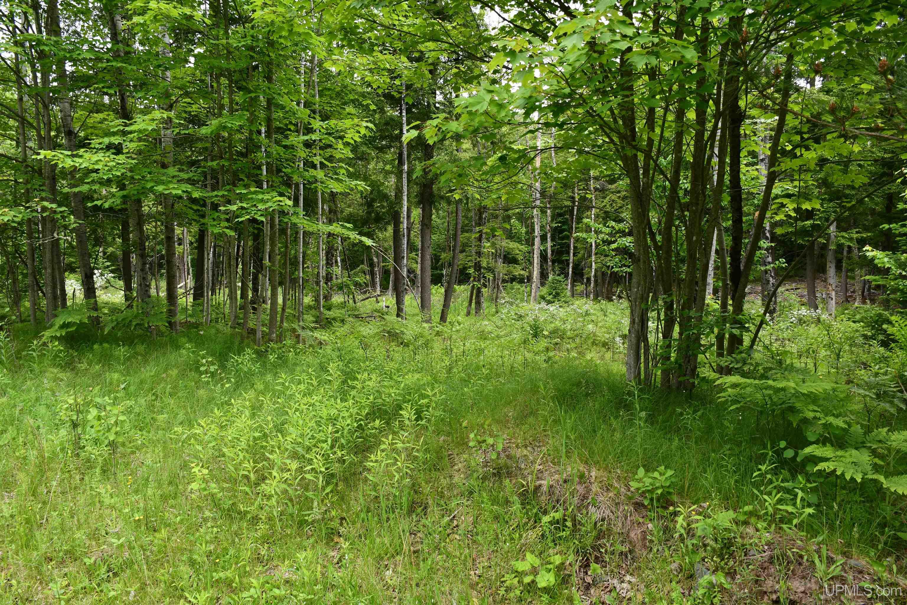 18310 Skanee Road Lanse, MI 49946 - Photo 64 of 71 Gallery Image 64