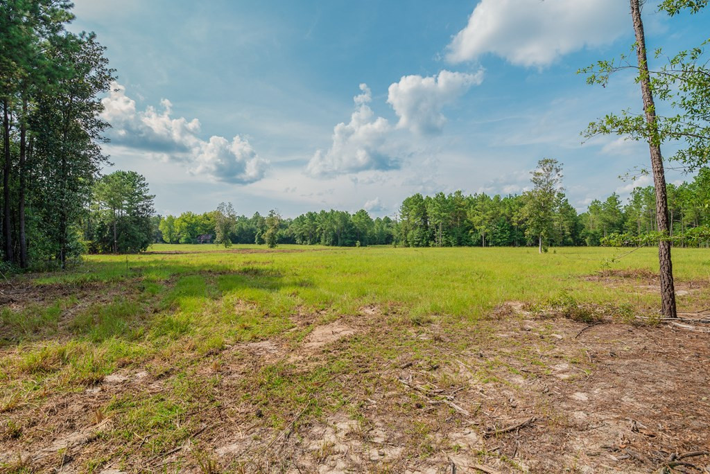 241 Voyager Road Salley, SC 29137 - Photo 21 of 31