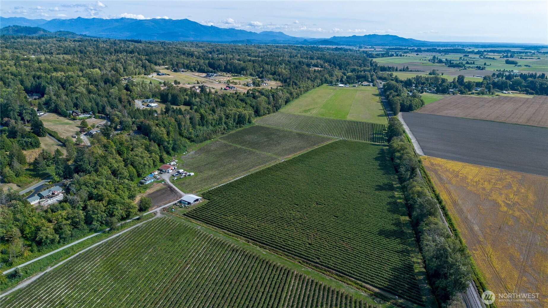 15860 Colony Road Bow, WA 98232 - Photo 1 of 25 Gallery Image 1