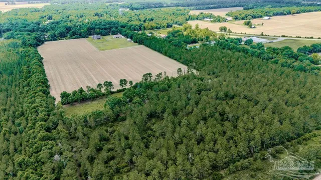 an aerial view of a house with yard and trees in the background
