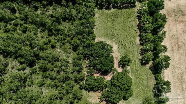 an aerial view of residential house with outdoor space and trees all around