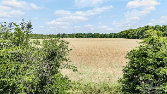a view of a lake from a yard