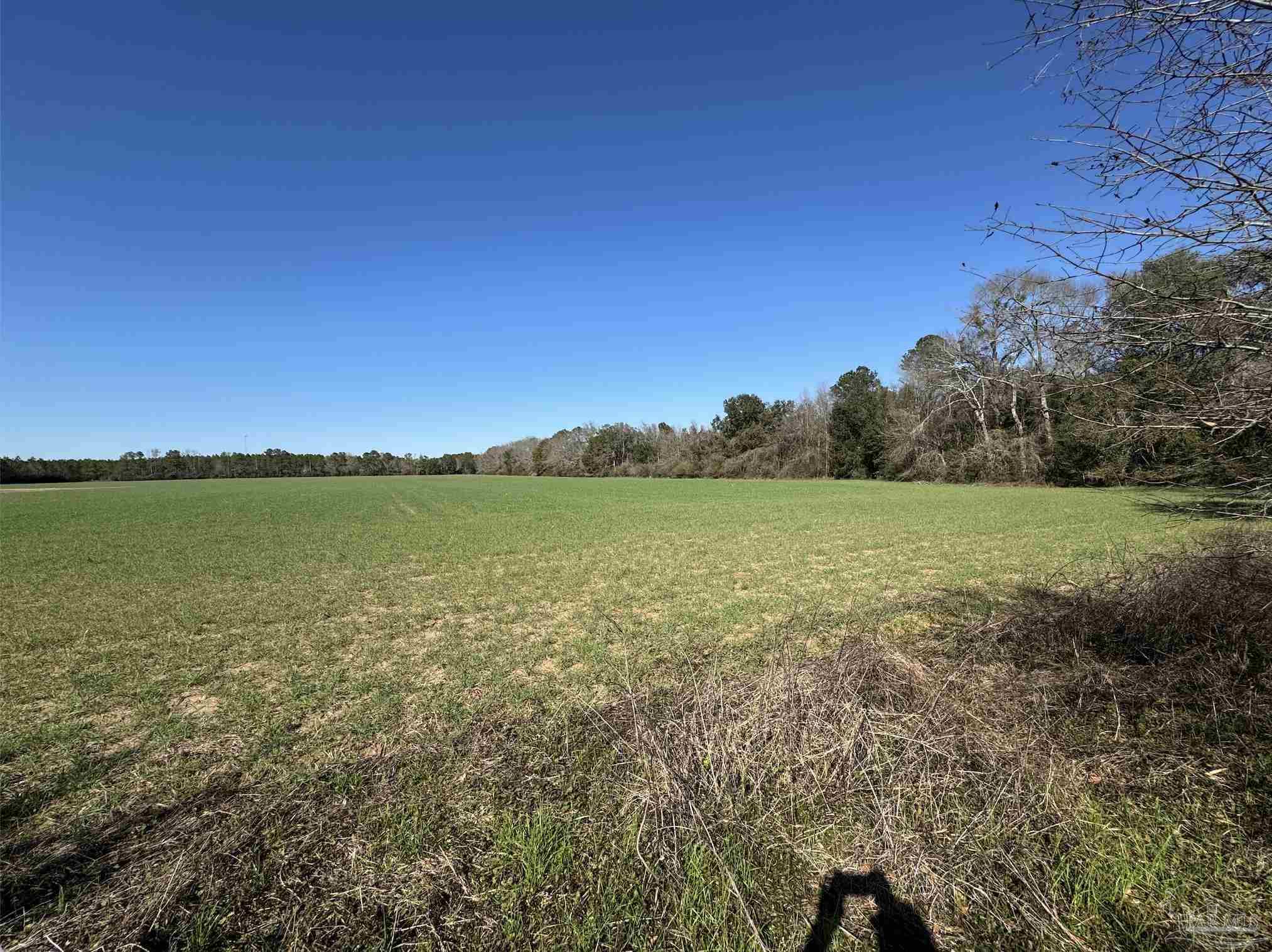Lot 9 Daybreak Lane Pace, FL 32571 - Photo 14 of 15 a view of a lake with a yard