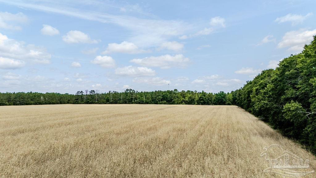Lot 9 Daybreak Lane Pace, FL 32571 - Photo 2 of 15 a view of an lake and a mountain