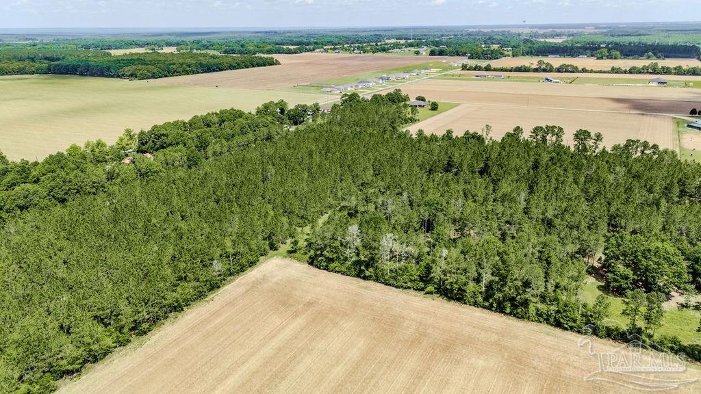 Lot 9 Daybreak Lane Pace, FL 32571 - Photo 4 of 15 a view of a lake with a city view