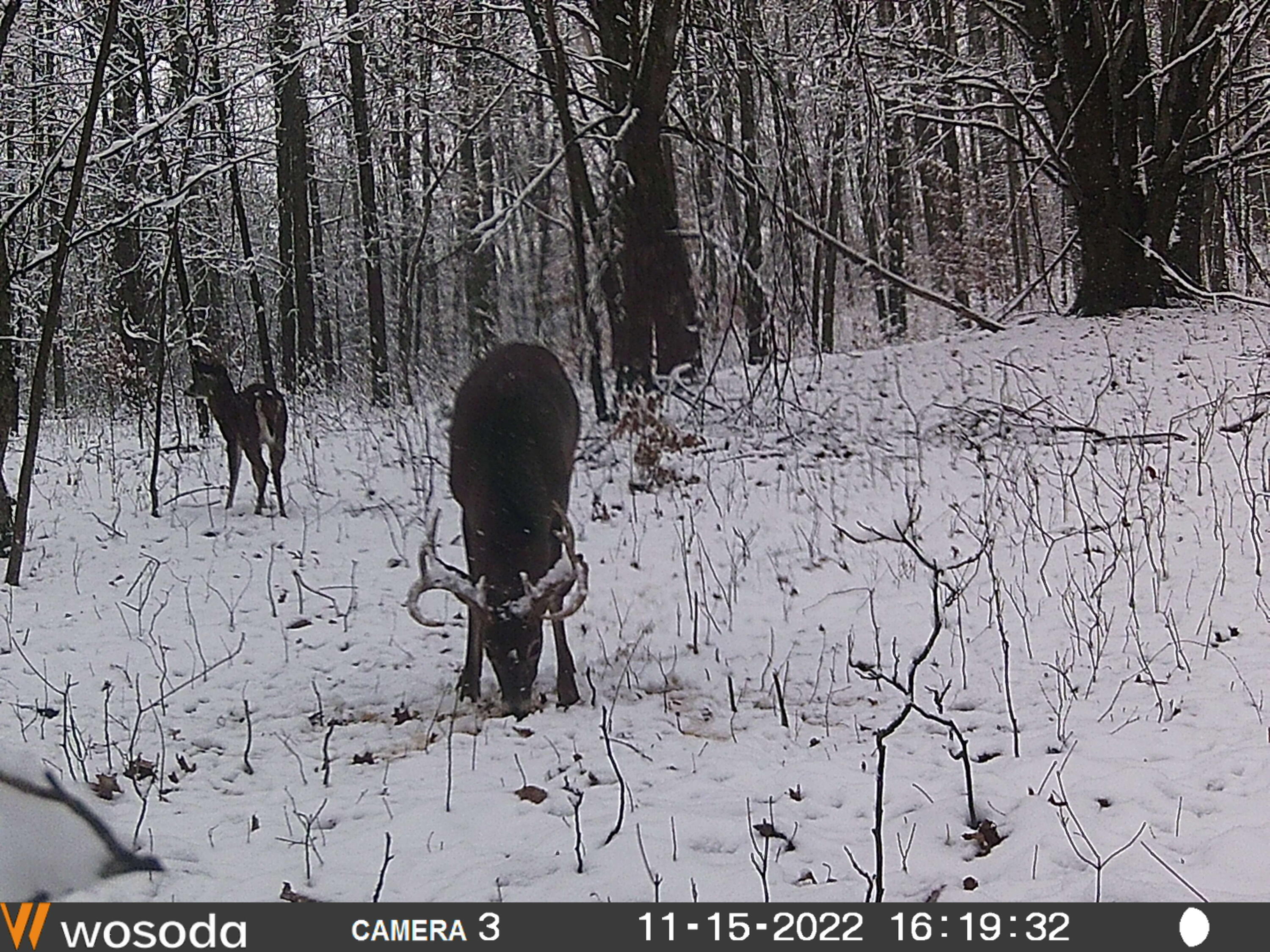 Vl Mud Lake Road Bellevue, MI 49021 - Photo 47 of 48 47