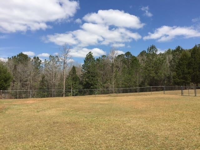 32131 Straughn School Road Andalusia, AL 36421 - Photo 5 of 31 Gallery Image 5