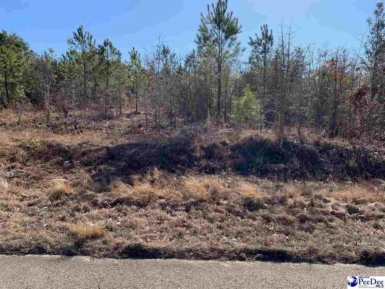 Scott Pond Road Hartsville, SC 29550 - Photo 1 of 9 Gallery Image 1