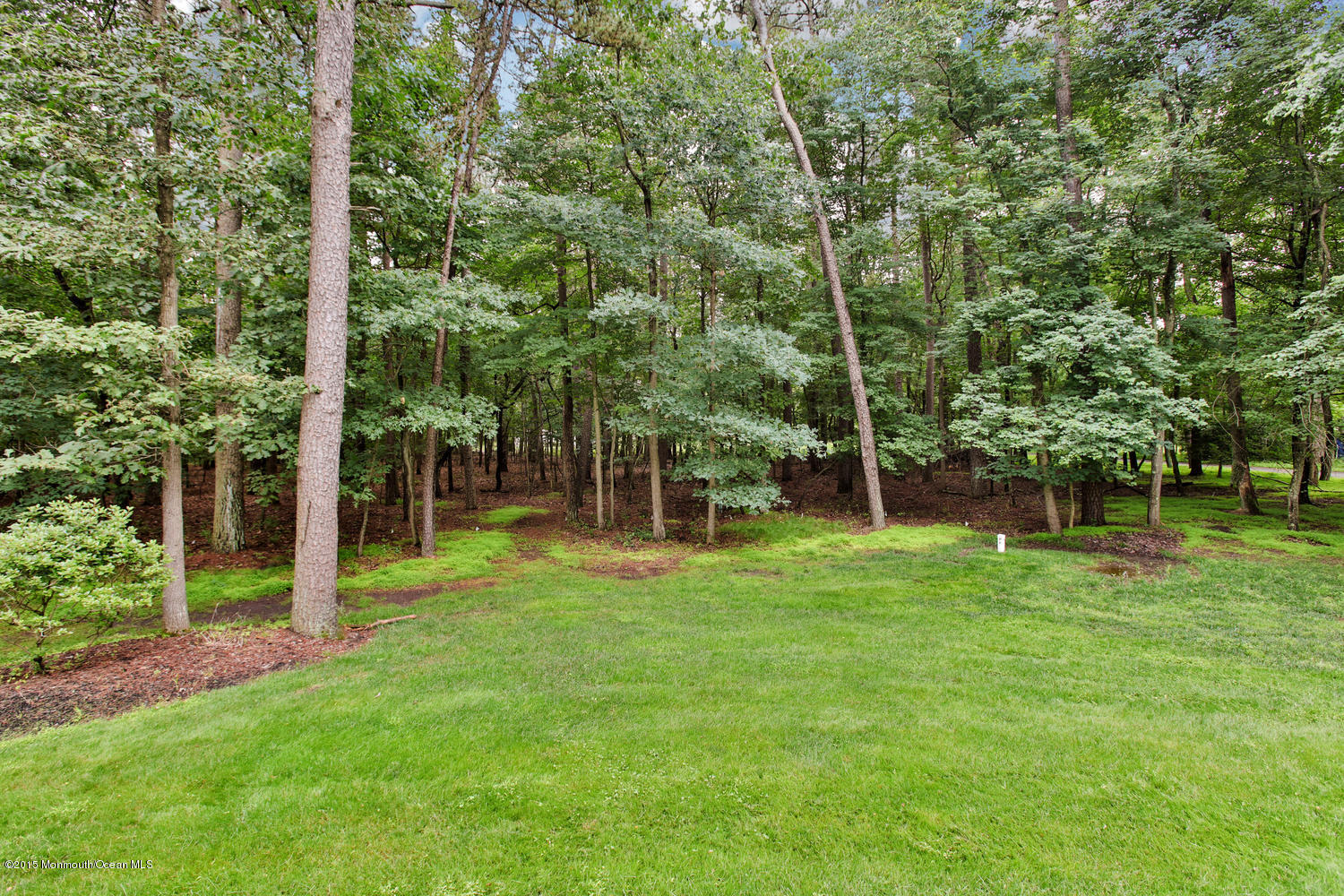 203 East Pleasant Grove Road Jackson, NJ 08527 - Photo 33 of 36 203 E Pleasant Grove Rd-large-035-1K2A05