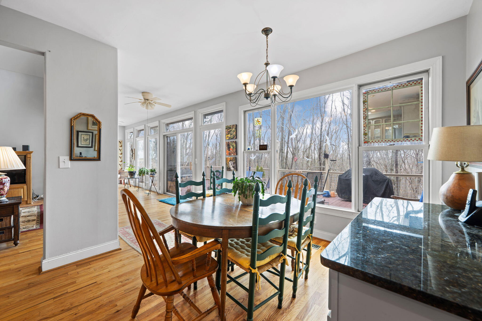 611 Stewart Lane Rising Fawn, GA 30738 - Photo 20 of 62 30-web-or-mls-DSC_7605