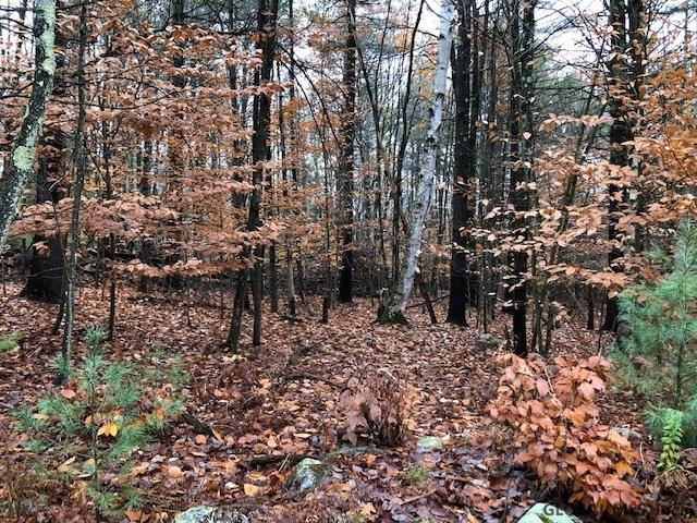 0 Yates Hill Road Hadley, NY 12835 - Photo 1 of 4 Photo 1