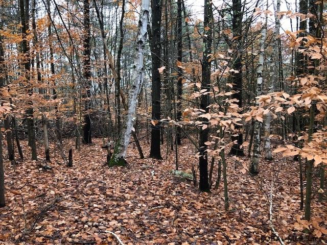 0 Yates Hill Road Hadley, NY 12835 - Photo 3 of 4 Photo 3