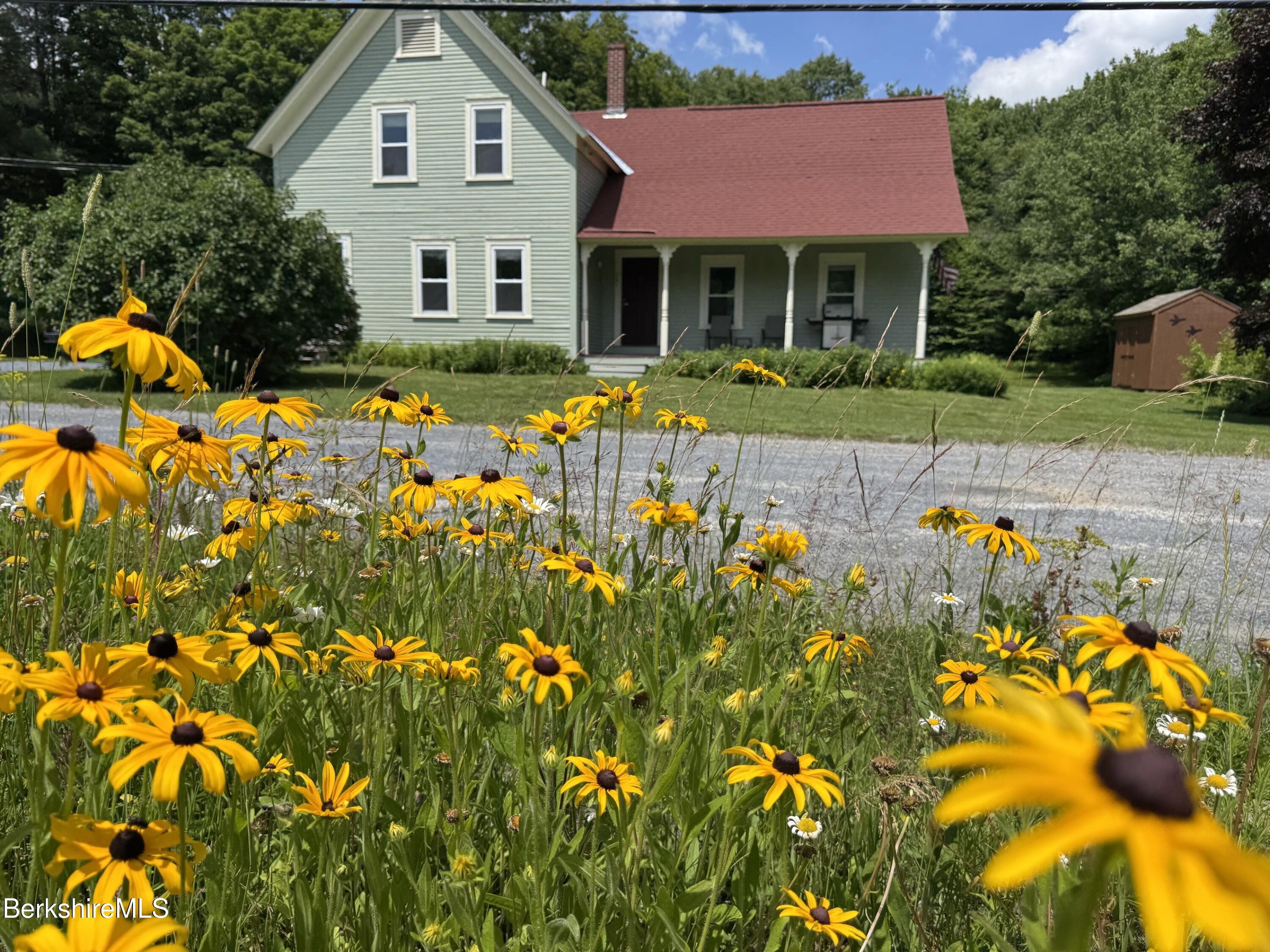 141 Williams Road Readsboro, VT 05350 - Photo 22 of 26 Wildflowers