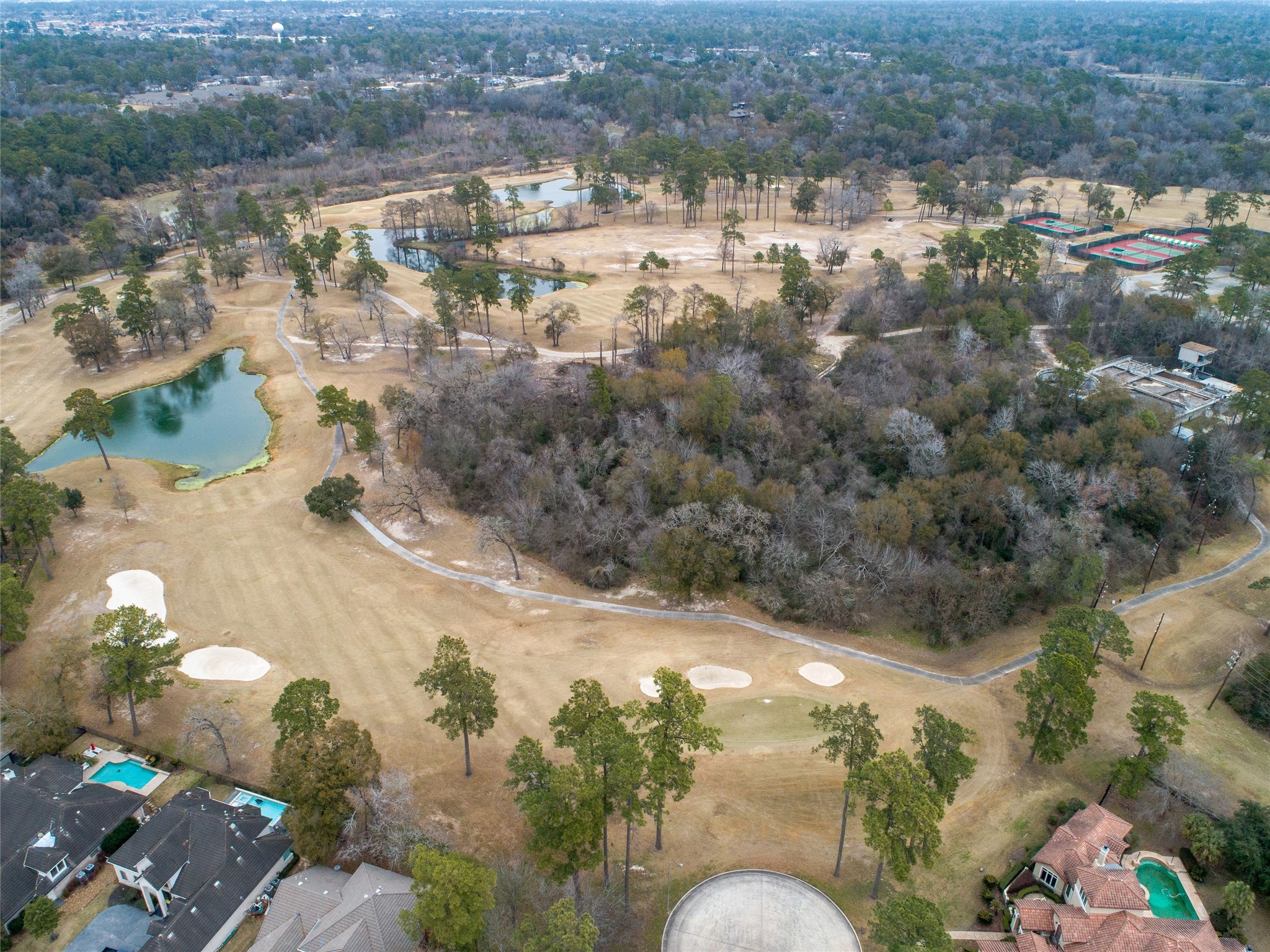 3003 Green Vista Houston, TX 77068 - Photo 12 of 18 a view of a lake with a yard