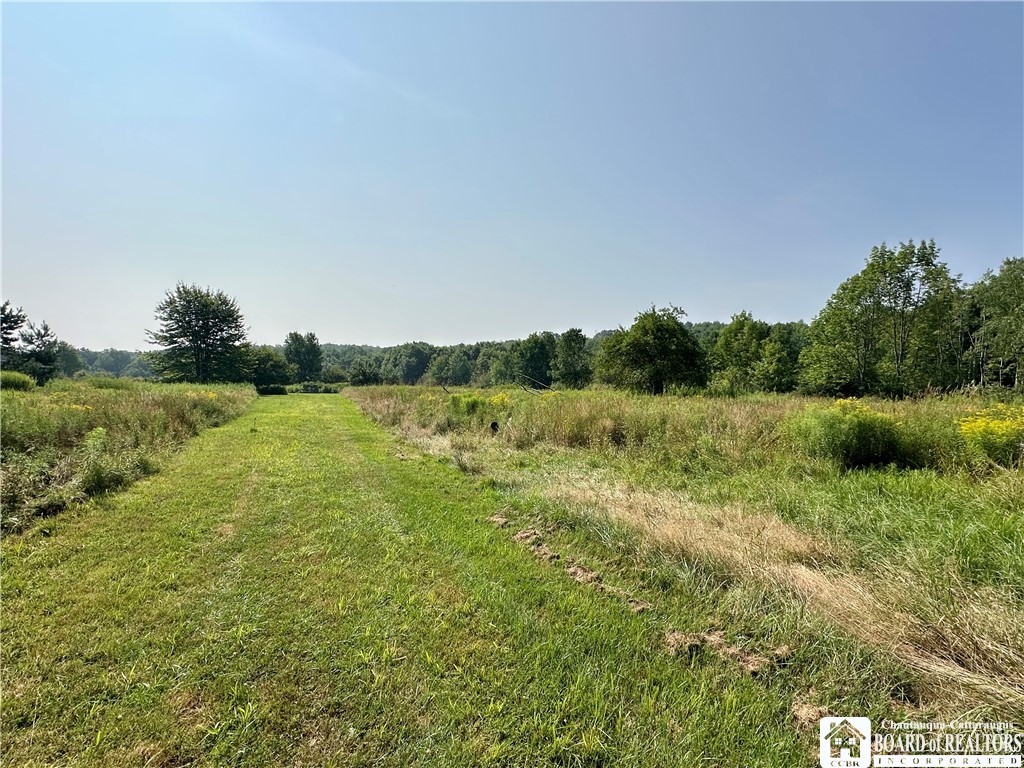 4101 Hopkins Road Kennedy, NY 14747 - Photo 11 of 23 Gallery Image 11