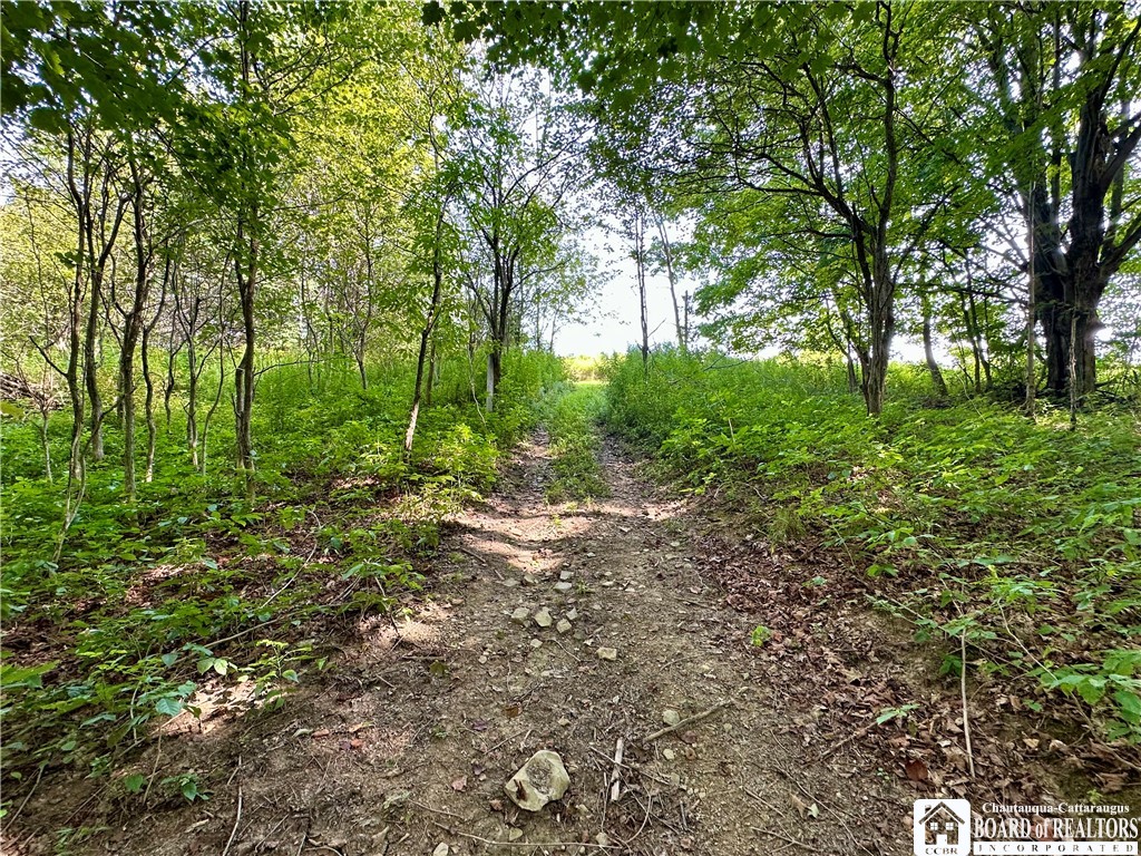 4101 Hopkins Road Kennedy, NY 14747 - Photo 12 of 23 Gallery Image 12