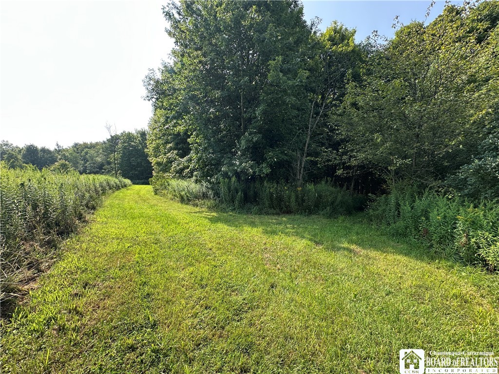 4101 Hopkins Road Kennedy, NY 14747 - Photo 13 of 23 Gallery Image 13
