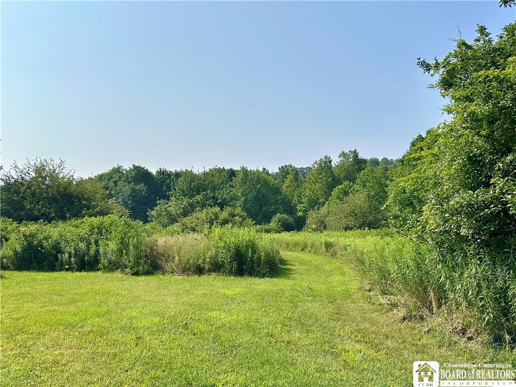 4101 Hopkins Road Kennedy, NY 14747 - Photo 14 of 23 Gallery Image 14