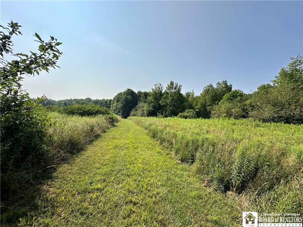 4101 Hopkins Road Kennedy, NY 14747 - Photo 15 of 23 Gallery Image 15