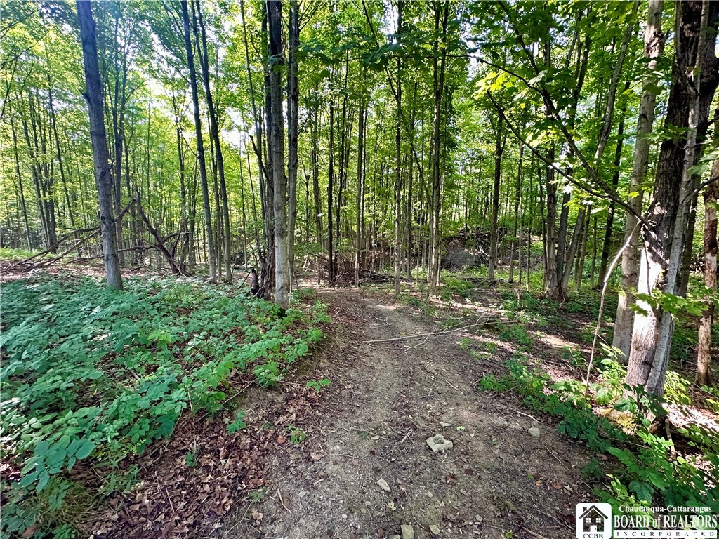 4101 Hopkins Road Kennedy, NY 14747 - Photo 16 of 23 Gallery Image 16