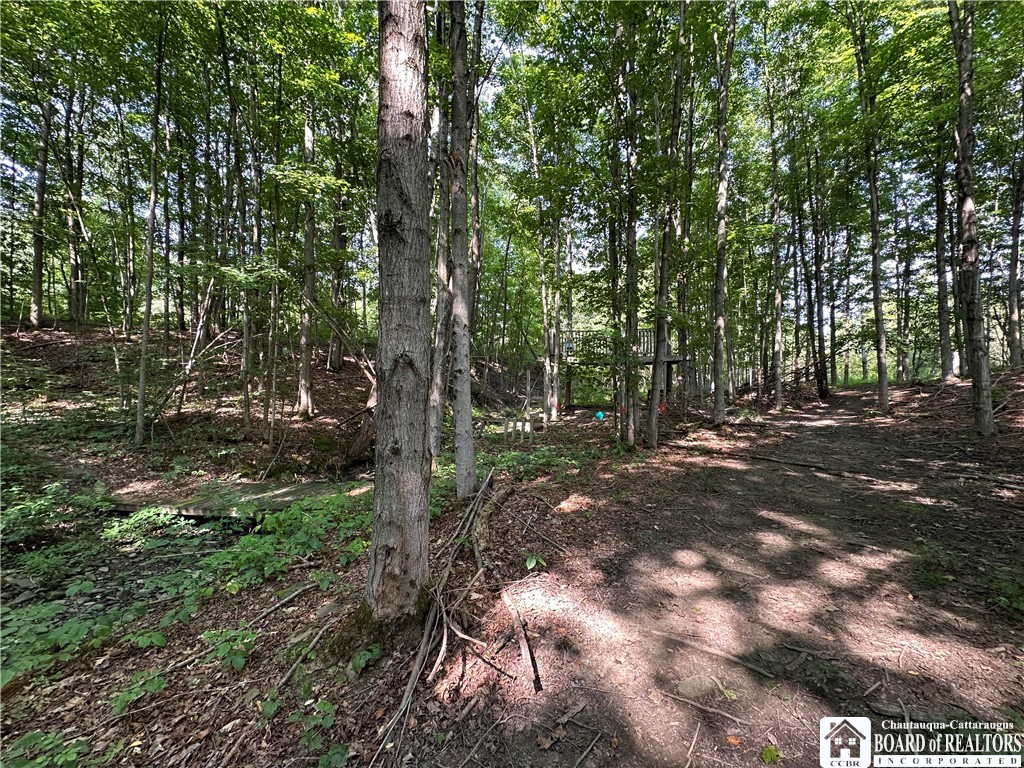 4101 Hopkins Road Kennedy, NY 14747 - Photo 17 of 23 Gallery Image 17