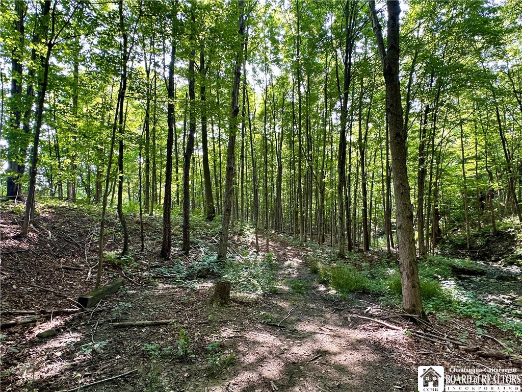 4101 Hopkins Road Kennedy, NY 14747 - Photo 18 of 23 Gallery Image 18