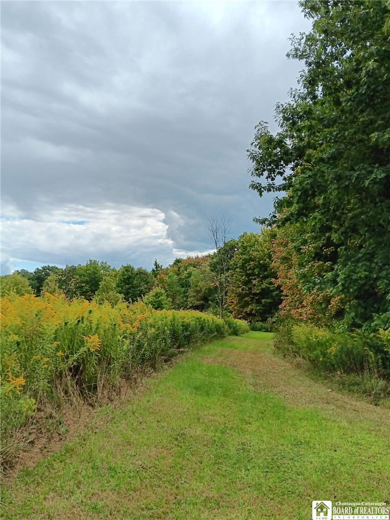 4101 Hopkins Road Kennedy, NY 14747 - Photo 19 of 23 Gallery Image 19