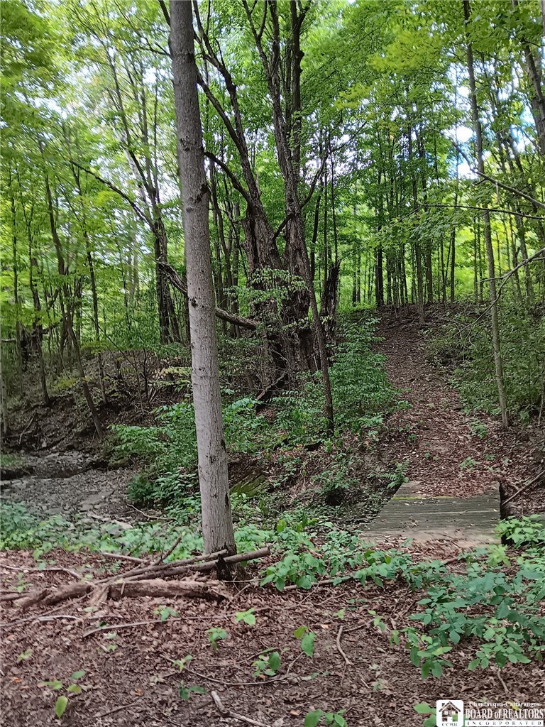 4101 Hopkins Road Kennedy, NY 14747 - Photo 21 of 23 Gallery Image 21