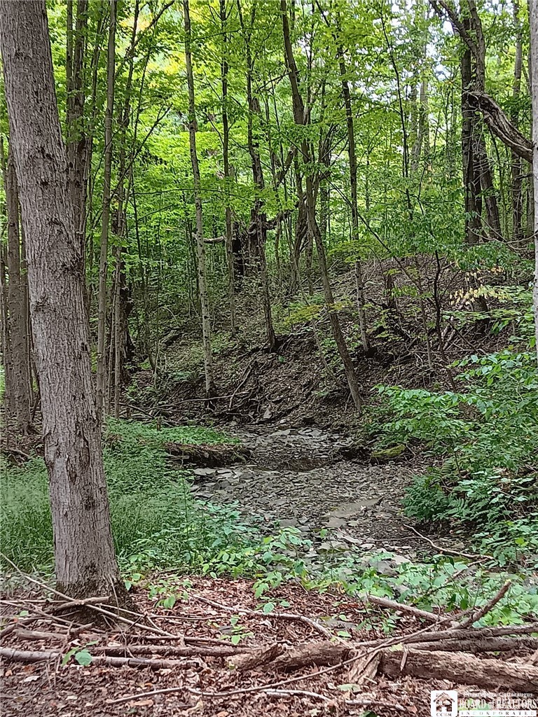 4101 Hopkins Road Kennedy, NY 14747 - Photo 22 of 23 Gallery Image 22