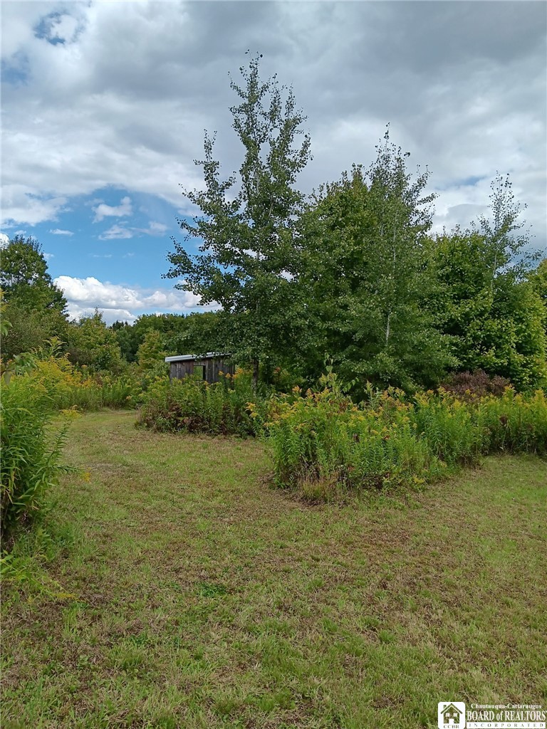 4101 Hopkins Road Kennedy, NY 14747 - Photo 23 of 23 Gallery Image 23