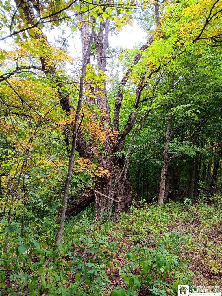 4101 Hopkins Road Kennedy, NY 14747 - Photo 3 of 23 Gallery Image 3