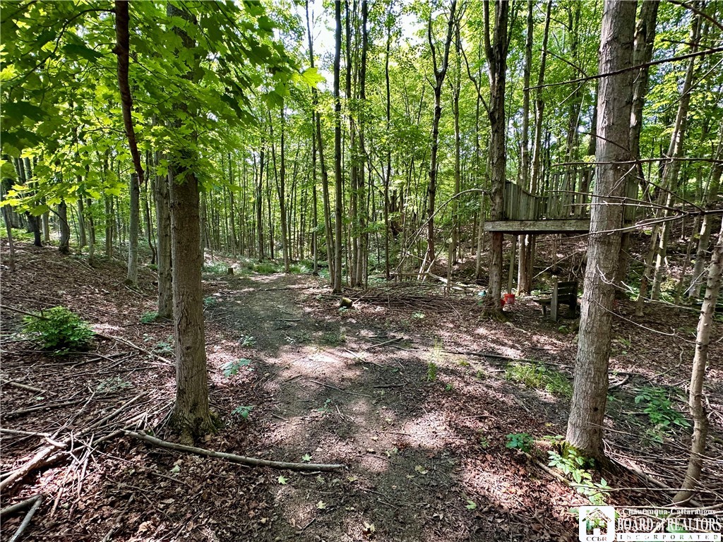4101 Hopkins Road Kennedy, NY 14747 - Photo 5 of 23 Gallery Image 5