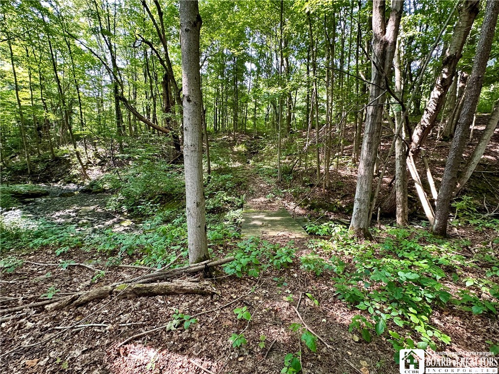 4101 Hopkins Road Kennedy, NY 14747 - Photo 6 of 23 Gallery Image 6