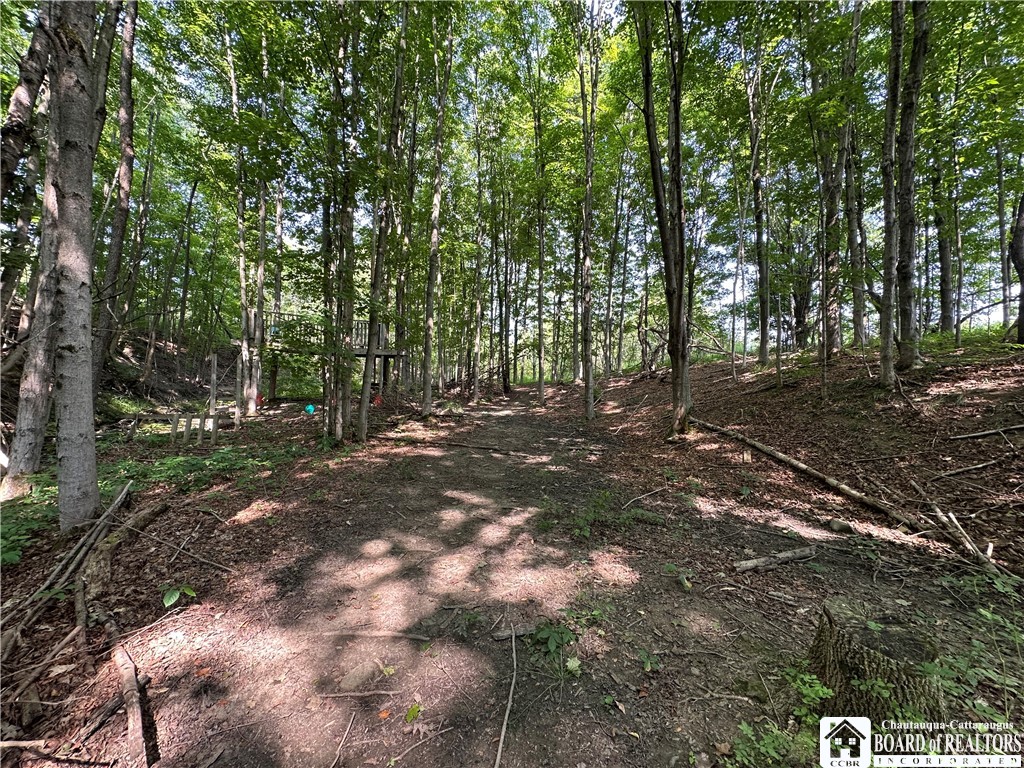 4101 Hopkins Road Kennedy, NY 14747 - Photo 7 of 23 Gallery Image 7