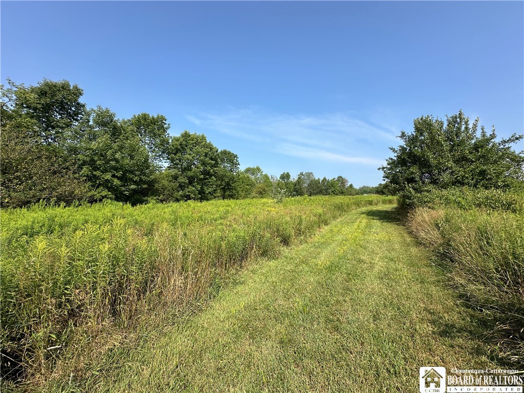 4101 Hopkins Road Kennedy, NY 14747 - Photo 8 of 23 Gallery Image 8