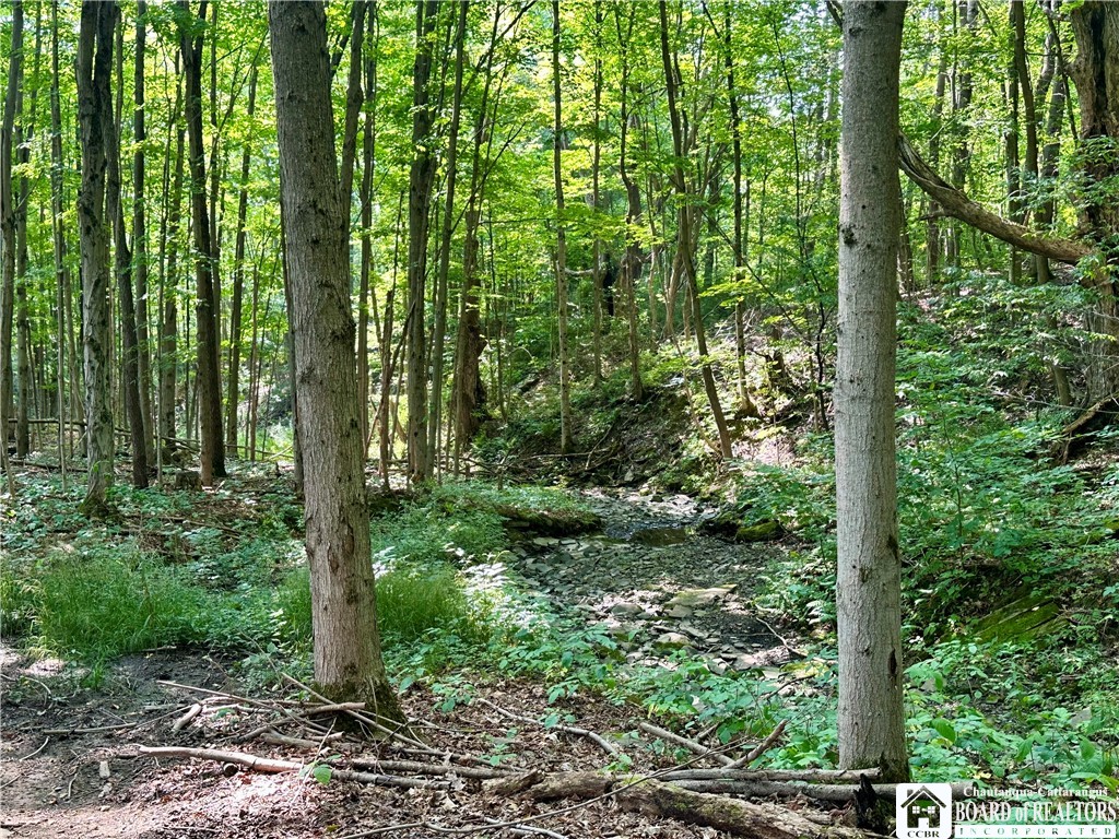 4101 Hopkins Road Kennedy, NY 14747 - Photo 9 of 23 Gallery Image 9