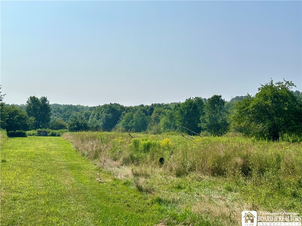 4101 Hopkins Road Kennedy, NY 14747 - Photo 10 of 23 Gallery Image 10
