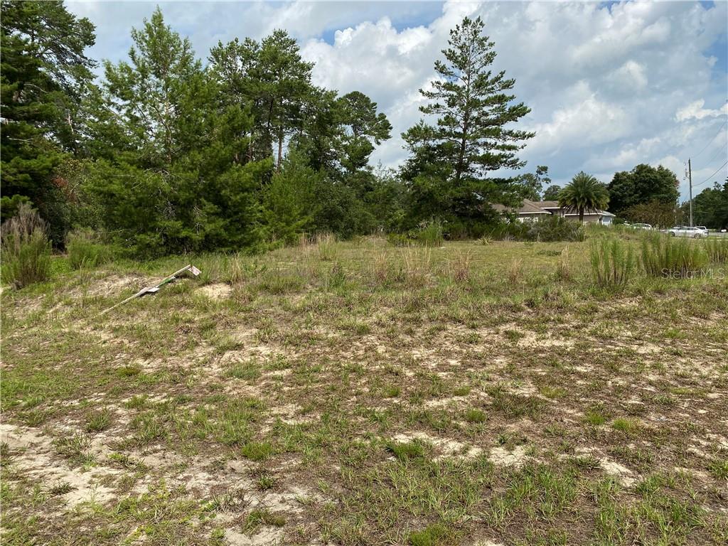 16657 Southwest 22nd Terrace Road Ocala, FL 34473 - Photo 1 of 1